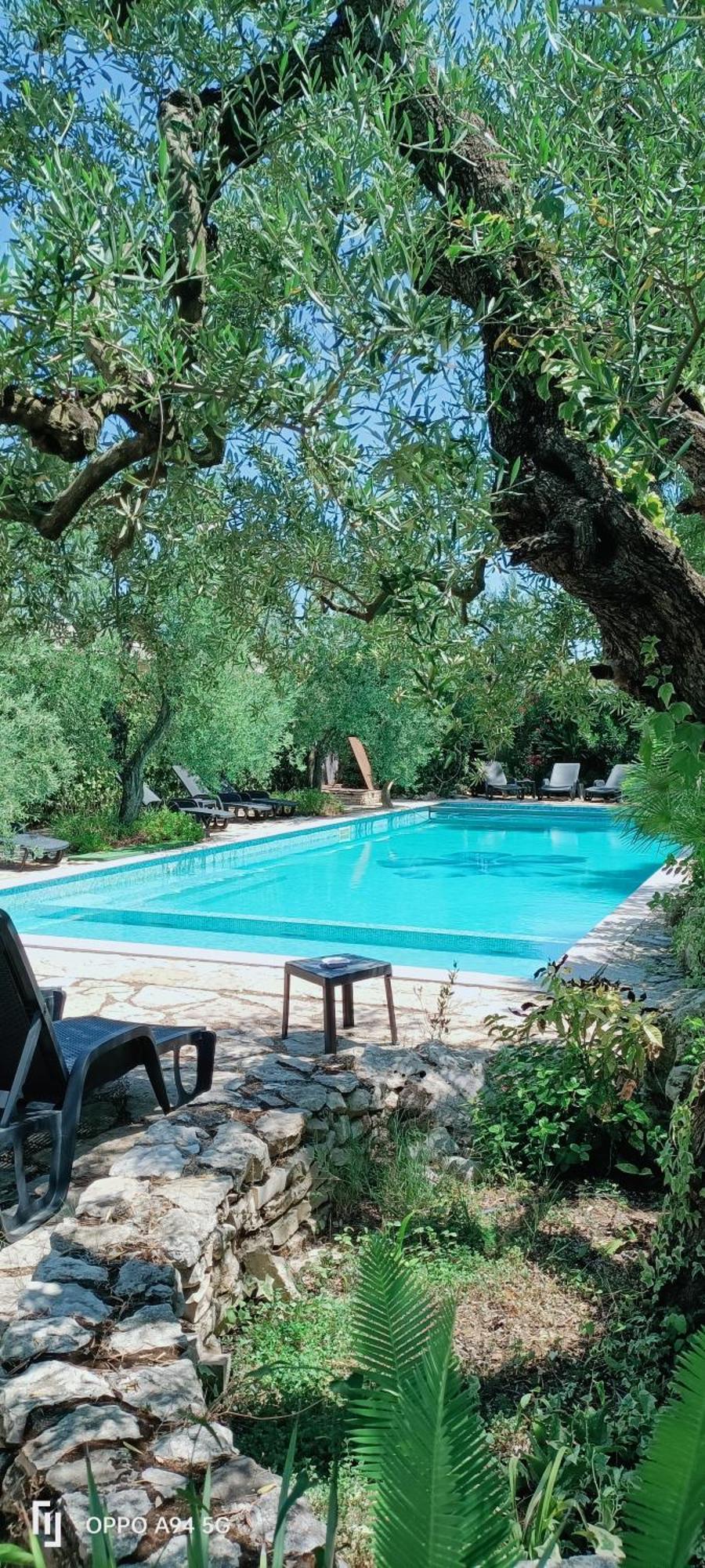 Agriturismo Le Vedute Bisceglie Exterior foto